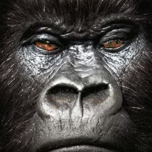 Meet your Posher, Lou